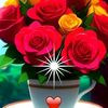 shahin.sheikh930
