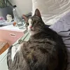 ticia.165