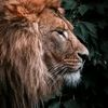 mehar.jamil6