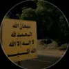 cisgt