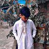 shahin.jr.8261