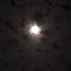 quocbaohentai689