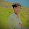 rohaidking93