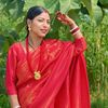 alishasunar004