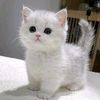 zeynep.ylmaz119