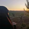 yt23hl