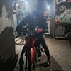 rendygaasik