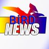 birdnews.pot
