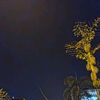 ngawur_7475_1