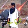user69600681740514
