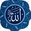 malik72136