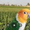 dxshamimvai12