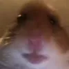 leon_v187