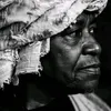 fallousamb2335