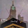 user2916119311005