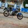 tiger.pns