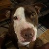leavemebe680