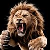 segun.adams1