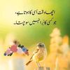 hamza.sonu66