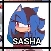 456sasha7w7