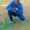 user31286257717795
