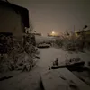 wbn_100