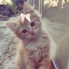 nini_spam11