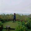 yunfa.homecare