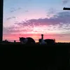 catalin.ionescu47