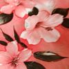 habibaahmed4385