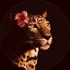 leenaahmed07