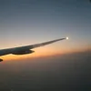 ansii780