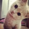 tamilka_14