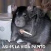 carlosvoldoz