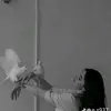 ssdd20000