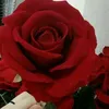 user07503219302