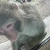 caramelothegoat