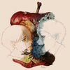 joyful_jackalope