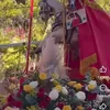 coyotito394