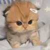 beccagomesnx