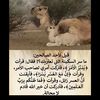 user6252500651295