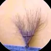 gayphornwatcher