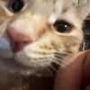 sadie683572