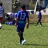 mg.v13