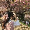 ndyya40