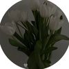 tli9a_