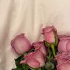 1lwou_7