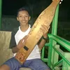 beelll0000