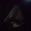 ardany_99.salah