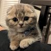 loou_wee